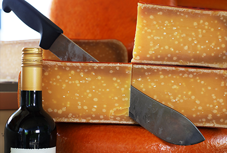 Gouda Käse Gouda Käse