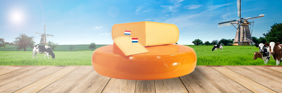 <h1>Bestellen Sie den leckersten Käse einfach online!</h1>
